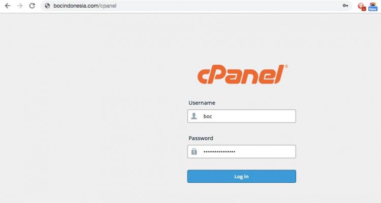 cPanel google custom site domain