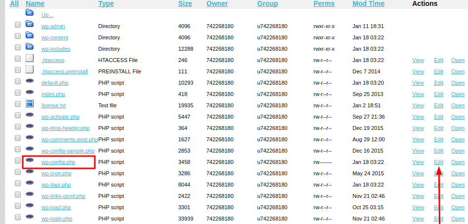 edit file in hosting panel