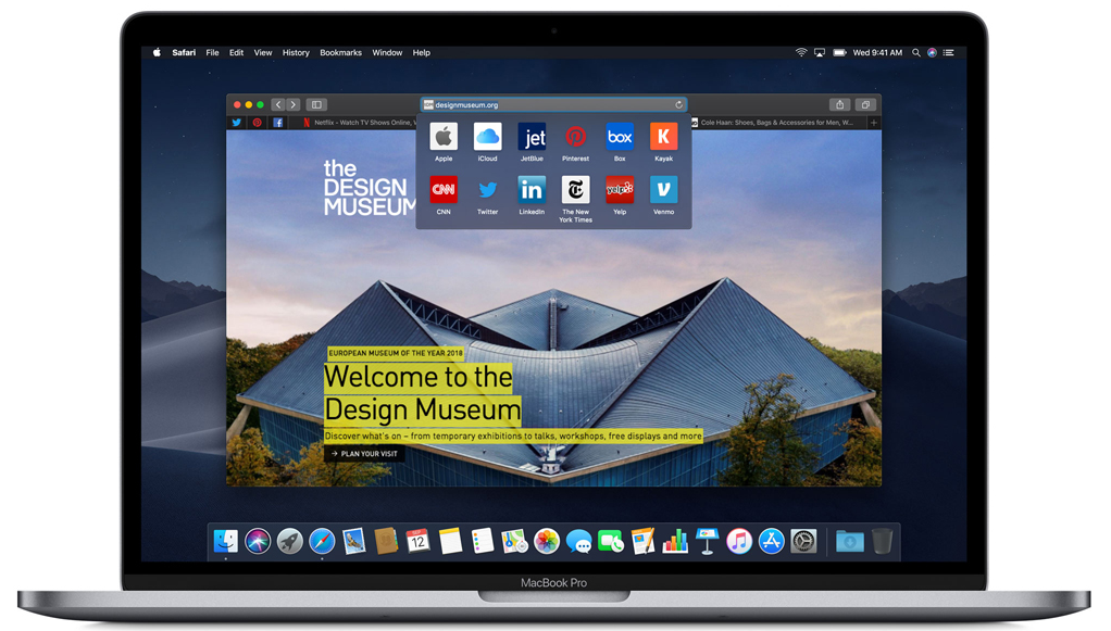 Apple Safari internet browser