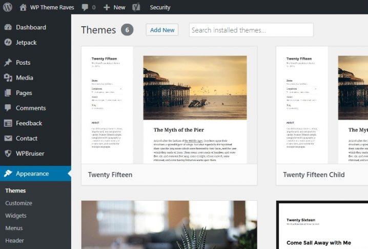 WordPress theme screen